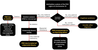 Prader Willi Syndrome Cancer Therapy Advisor