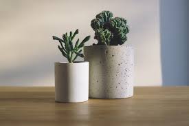 To successfully grow a succulent in your house, when you don't live in a warm and dry climate, you'll need to mimic its natural habitat the best you can. Espoma Beginner Tips For Succulents Espoma