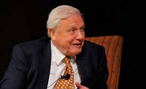 Do it for david attenborough and for. British Broadcaster David Attenborough Awarded Indira Gandhi Peace Prize