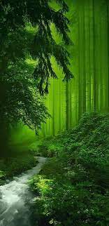 4k Ultra Hd Nature Wallpaper For Android And Iphone Beautiful Nature Beautiful Landscapes Beautiful Forest