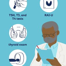 Understanding Thyroid Function Tests And Normal Ranges