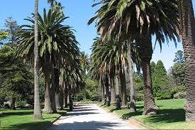 בילוי נפלא לכל המשפחה ולקבוצות. St Kilda Botanical Gardens The City Of Port Phillip