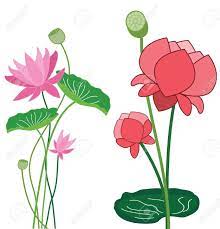 Lotus Flower Stock Vector Illustration And Royalty Free Lotus Flower Clipart Flower Illustration Flower Vector Art Flower Clipart