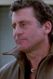 Starsky & Hutch season 1 Savage Sunday Reviews