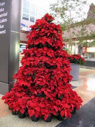 Christmas Tree Made Of Poinsettia Plants Poinsettia Tree Christmas Wreaths Poinsettia