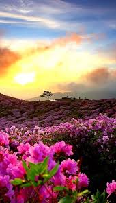 paisajes hermoso que nos regala nuestro padre gudelia santana beautiful landscapes beautiful nature pictures beautiful nature