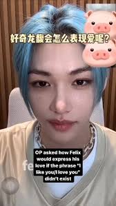 cr. fennix_ #felix #straykids