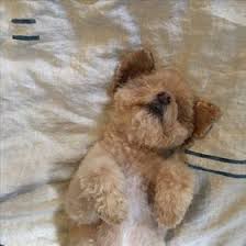 I'm wearing that lingerie you like just for you. Angie Hahn Angeladoreads Profile Pinterest