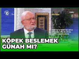 Evde Kopek Beslemek Gunah Midir Cuma Sohbetleri 22 Subat 2019 Youtube