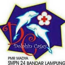 Use it to swim, stretch, row, relax and enjoy. Dolphin Beach Play Group Dolphin Real Sporting Eranthala Pages Directory