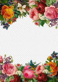In case you missed it, check out our other flower photography post. Gold Flowers Beautiful Flower Border Transparent Png 452x640 5753796 Png Image Pngjoy