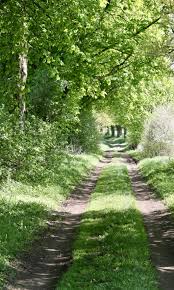 Bri S Landpartie Rund Um Den Krakower See Schone Landschaften Schone Orte Natur