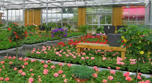 Finde hier alle informationen der blume 2000 filiale almsstraße 21 in hildesheim (31134). Gartnerei Trogl In Ingolstadt Hochzeitsfloristik Trauerbinderei Und Grabpflege