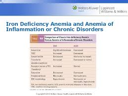 Chapter 10 Iron Deficiency Anemia And Anemia Of