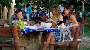 kedi ozledi 2013 orijinal fragman beyazperde http www beyazperde com filmler film 223054 fragman 19534493 film kedi iliskiler