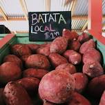 Sweet Potato Day — Western Wake Farmers Market