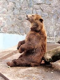 We did not find results for: Harkovskij Zoopark Vikipediya