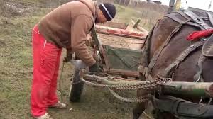 Caii lui vilmos, rasnov 2012, video realizat de lucian blida. Probe Cai 2015 Youtube