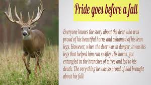 Maybe you would like to learn more about one of these? Pride Goes Before A Fall Expansion Of Theme Proverb Thought Pride Goes Before A Fall Youtube