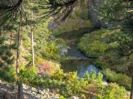 Check spelling or type a new query. Willow Springs Cabins