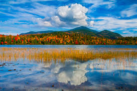 Connery Pond Ny - Water Landscape Photography Lucas Cometto Wilderness Landscape Photography