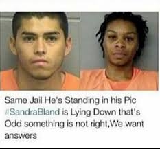 WhatZen Let Our Voices Echo