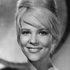 Watch Live TV, Movies, and TV Shows Free Online