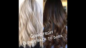 If you have light brown hair…becoming a blonde will require lifting your color a level or two. Advice On Dying Your Hair From Blonde Back To Dark Part 1 Youtube