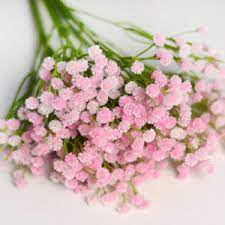 China Baby Breath Flower Distributors Baby Breath Flower Distributors Wholesale Manufacturers Price Made In China Com