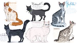See more ideas about warrior cats, warrior cat, warrior cats art. Back With More Warrior Cats Designs Warriorcats