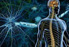 Jun 12, 2020 · multiple sclerosis (ms) is a potentially disabling disease of the brain and spinal cord (central nervous system). Multiple Sclerosis Ms Center Symptoms Treatments Diagnosis Stages And Causes From Webmd