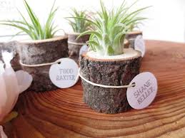 Tree Stump Planter Baume Pflanzen Schreibtisch Pflanze Hochzeitspflanzen