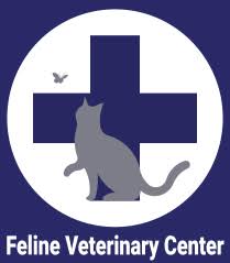 Check spelling or type a new query. Feline Veterinary Center Veterinarian In Pleasanton Ca