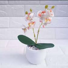 Bunga anggrek bulan besar dari akrilik. Bunga Nggrek Mini Bunga Meja Ruangan Tamu Pajangan Bunga Pelastik Terbaru Agustus 2021 Harga Murah Kualitas Terjamin Blibli