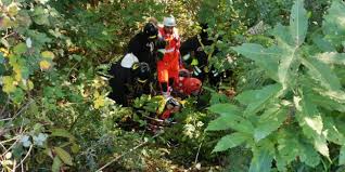Christoph e lena passeggiano nel grande cimitero del bosco di stoccolma. Cade Nel Bosco Donna Recuperata Dai Vigili Del Fuoco Foto E Video Prima Como