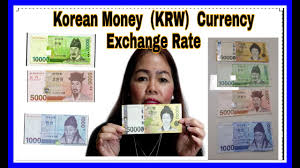 에프앤가이드가 제공하는 국내 최고의 투자분석 시스템. South Korea Korean Money Krw Currency Exchange Rate Guide Ii Shine Weather Youtube