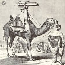 A camel is a horse made by committee. Camel Guns Zamburak Worldbuilding Stack Exchange