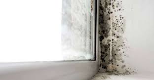 While this may seem like no big deal, it absolutely is. Is Condensation On Windows Bad Causes How To Stop It Ecohome