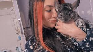 I just picked up a 25lb bale of Timothy hay/Orchard grass mixture. I just  want to double check if this is good for my house rabbit...as his primary  source of Timothy hay?