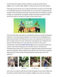 Exotic pet store near me. Exotic Animal Pet Store Near Me By Hero Seo Issuu
