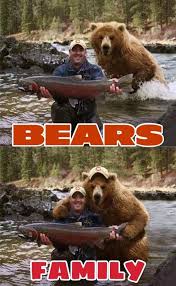 Pin By Chicago Bears Fan 4 Ever On Chicago Bears Fan 4 Ever In 2020 Bear Brown Bear Animals