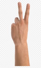 Hand Two Fingers Png Transparent Png Vhv ✓ free for commercial use ✓ high quality images. hand two fingers png transparent png vhv