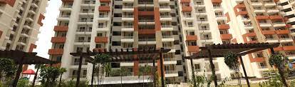 Ace Platinum Presents Affordableapartments In Greater Noida A Fast Developing Residential Hub These Apartments Affordable Apartments Greater Noida Apartment