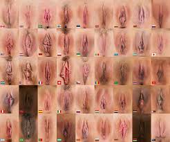 Формы женских писек - фото порно devkis