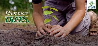 Together We Can Make A Difference Together We Can Protect The Earth All We Have To Do Is To Make Our Life Easy And Trees To Plant How To Grow