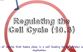 If you would like to present like a publication , feel free to download it now. Free Animated Biology Powerpoint Templates Prezi