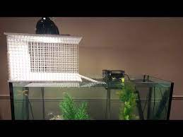 The Best D I Y Turtle Basking Dock 20 Youtube Turtle Dock Turtle Turtle Habitat
