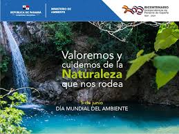 We did not find results for: Dia Mundial Del Ambiente Y Los Recursos Naturales Miambiente
