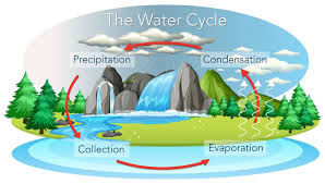 Proses ini terjadi pada berbagai jenis permukaan seperti danau, sungai, lahan pertanian, maupun dari vegetasi yang basah. Apa Saja Manfaat Siklus Air Bagi Kehidupan Manusia Di Bumi Ketahui Siklus Air Yuk Semua Halaman Bobo