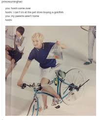 They Honestly Better Watch Out Cause This Fandom Can Make A Meme Out Of Anything Seventeen Seventeen Memes Seventeen Kpop Seventeen